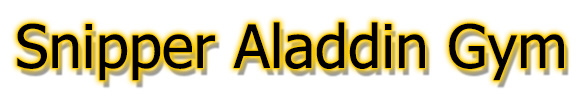 Snipper Aladdin Gym / สไนเปอร์ อะลาดินยิม
